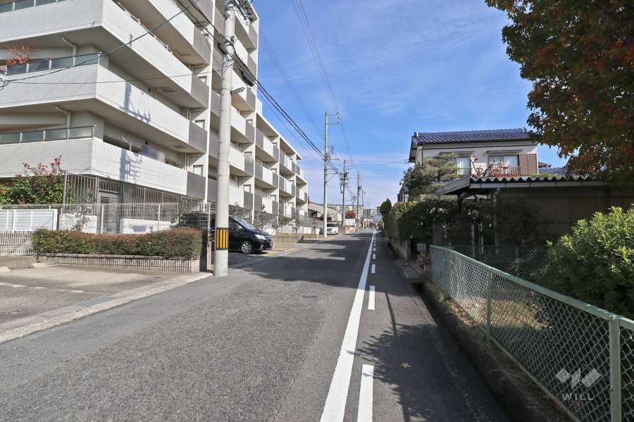 敷地南東側の前面道路