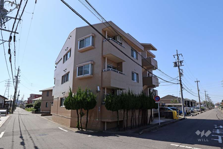 プロッシー岩野の外観（北東側から）