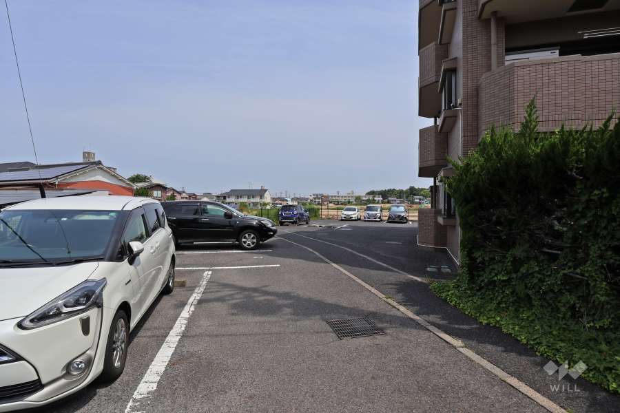 敷地内駐車場（屋外平面式）
