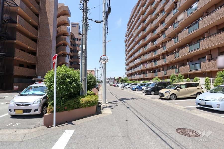 敷地北側の前面道路