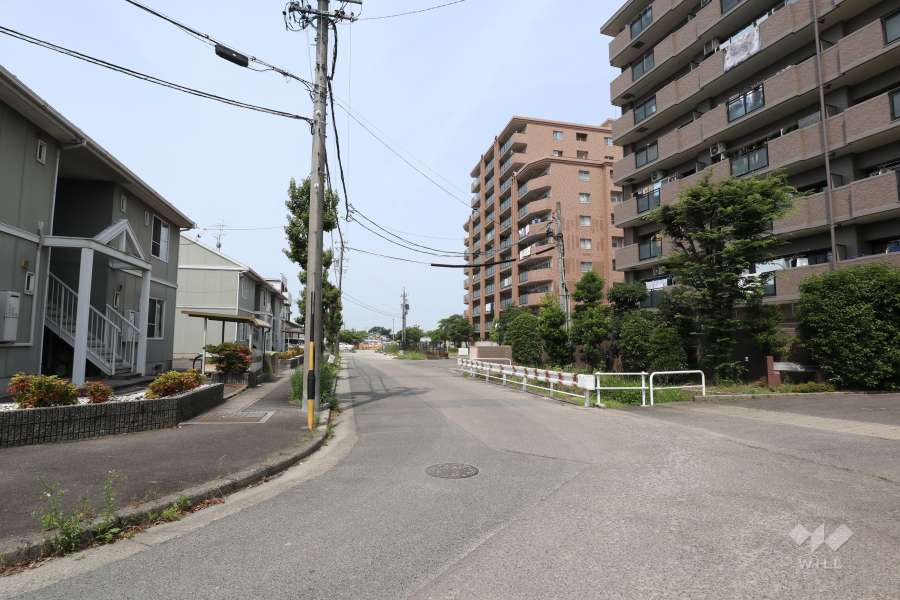 敷地南側の前面道路