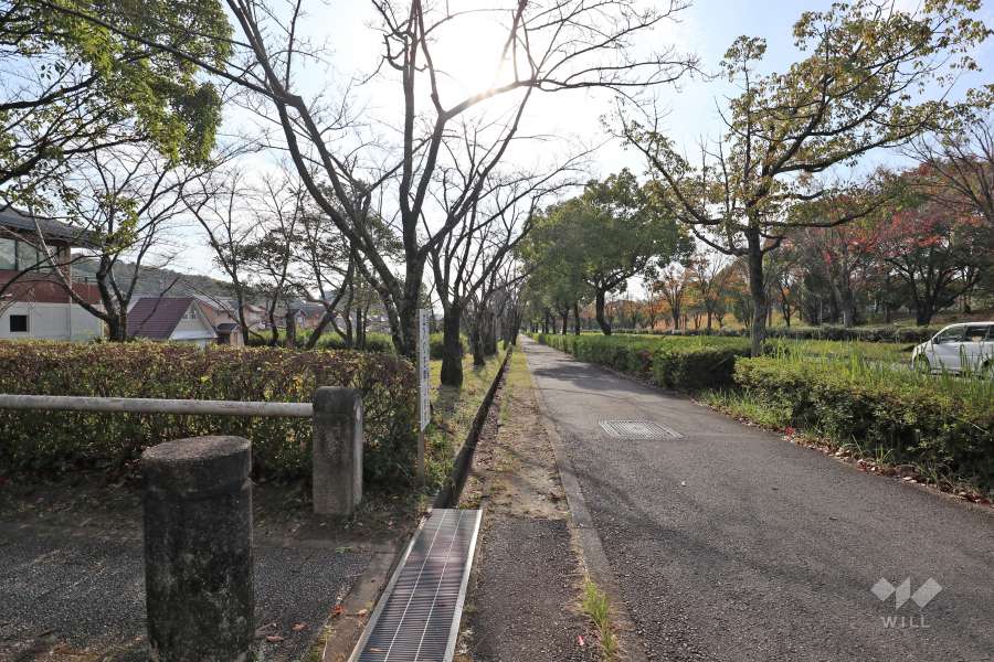 敷地西側の前面道路