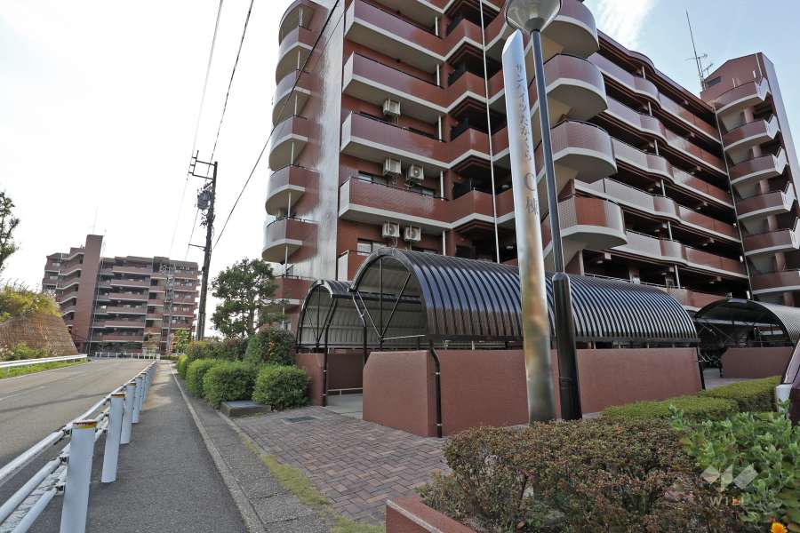敷地東側の前面通路