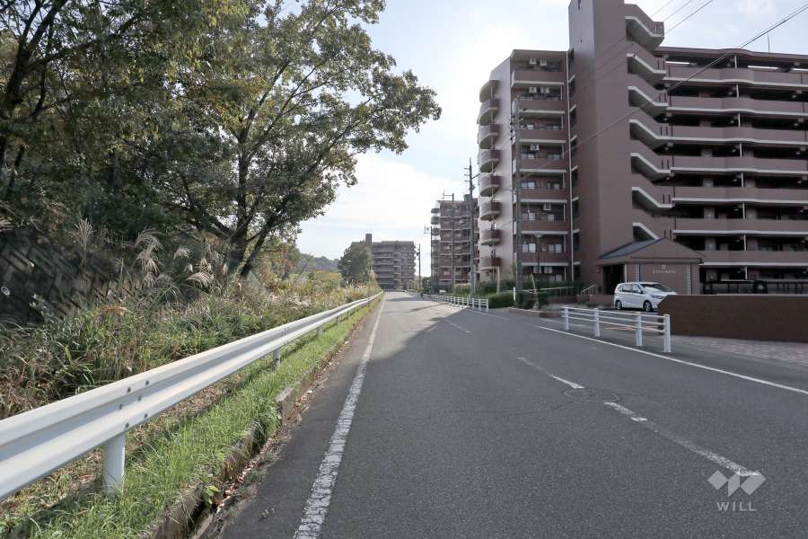 敷地東側の前面通路