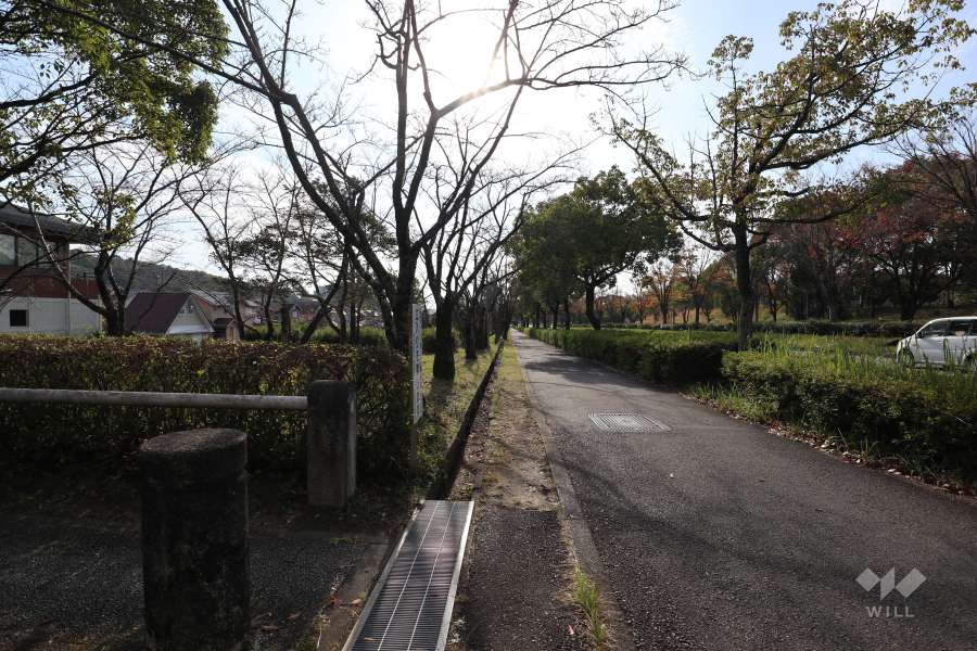 敷地西側道路