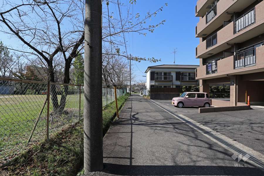 敷地南側の前面道路