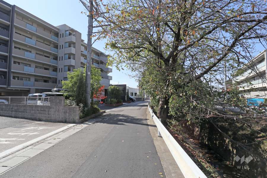 敷地北側の前面道路
