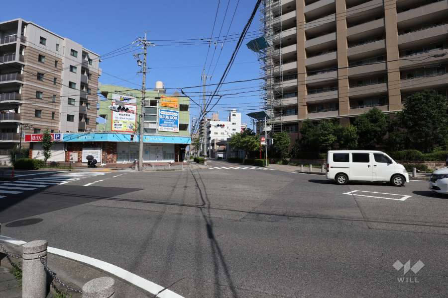 敷地南西側の前面道路（南側から）