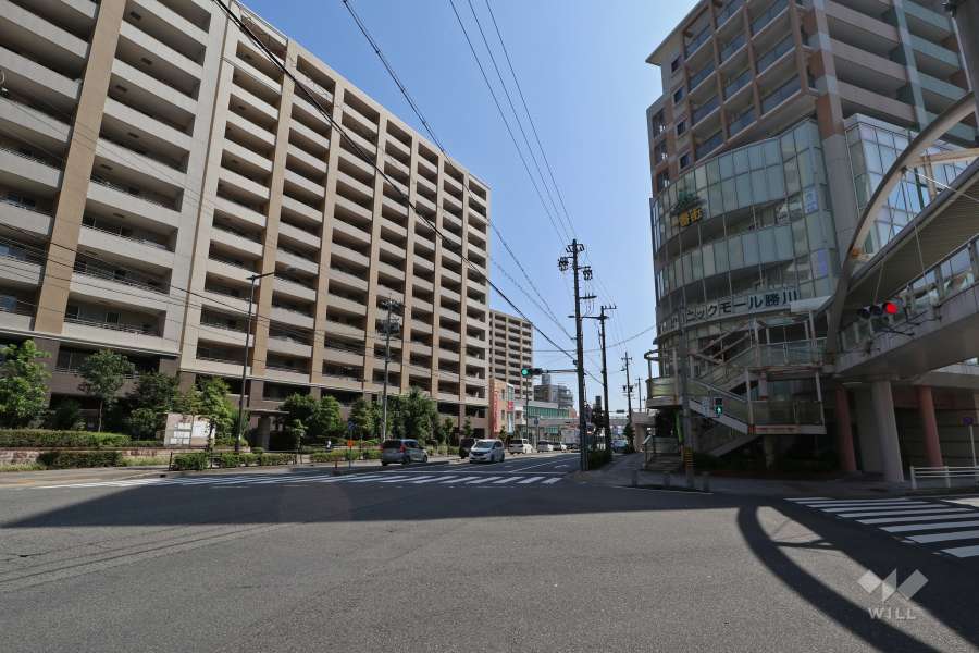 敷地南東側の前面道路（南西側から）