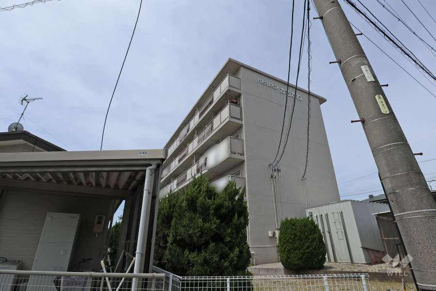 パビリオンかちがわの外観（東側から）