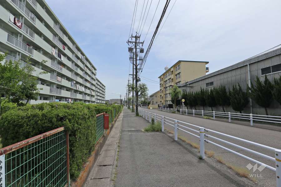 敷地北側の前面道路
