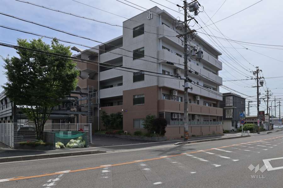 敷地南西側の前面道路