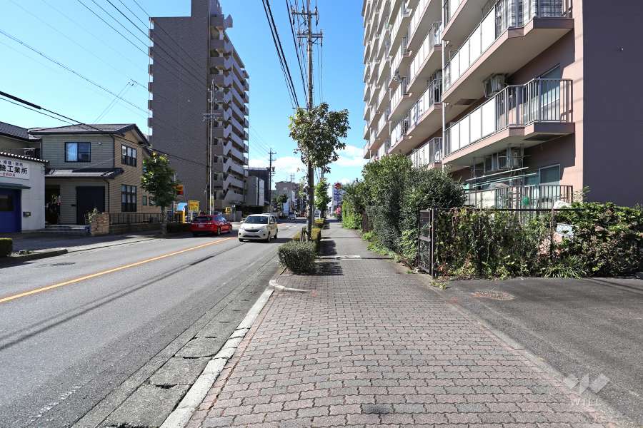 敷地南側の前面道路