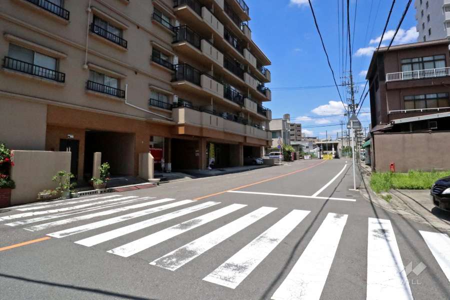 敷地東側の前面道路（南側から）