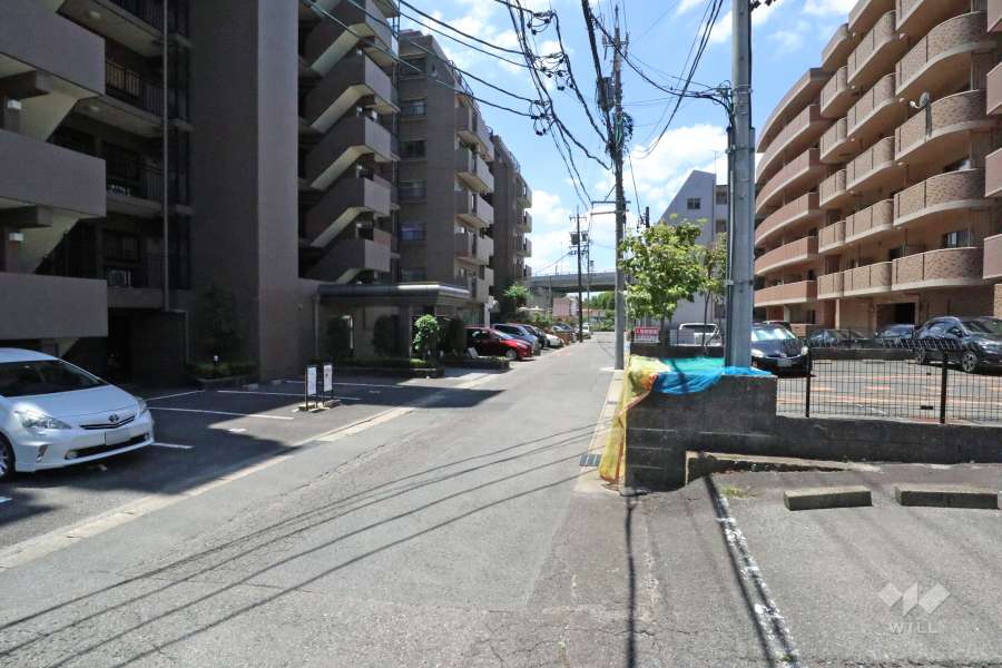 敷地北側の前面道路