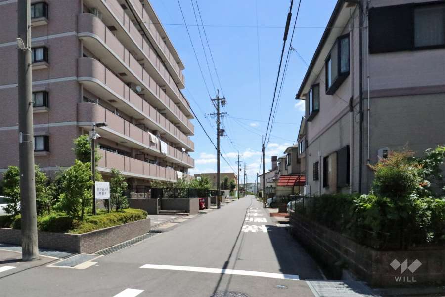 敷地南側の前面道路