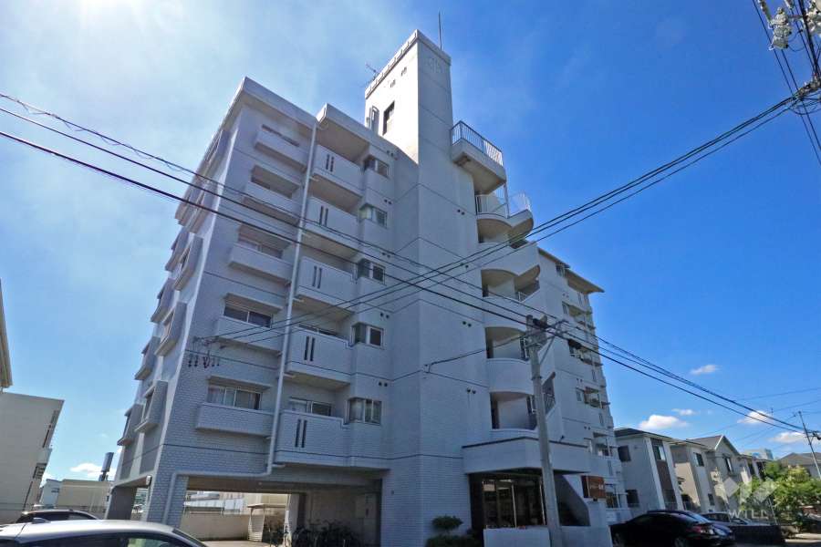 シャトー瑞穂の外観（北側から）