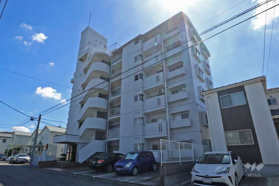 シャトー瑞穂の外観（西側から）