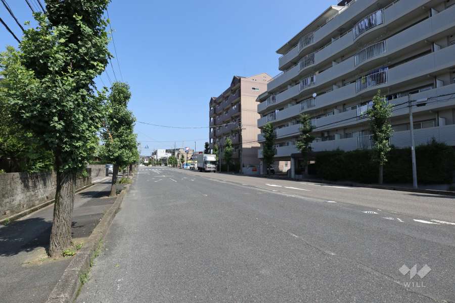 敷地南西側の前面道路（南東側から）