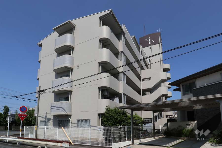 外観（南東側から）