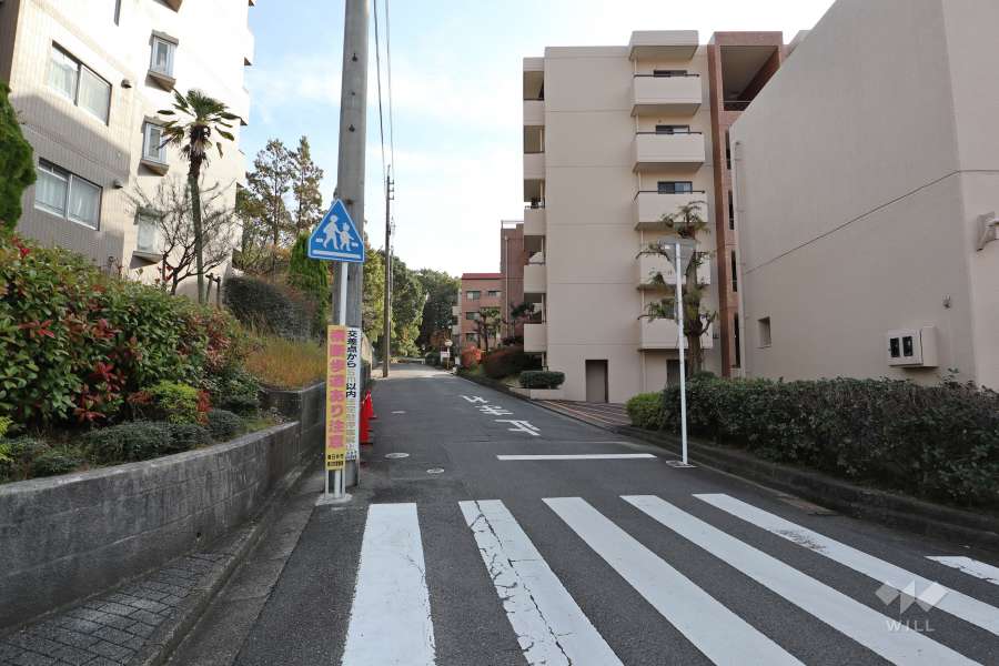 敷地東側の前面道路（北側から）