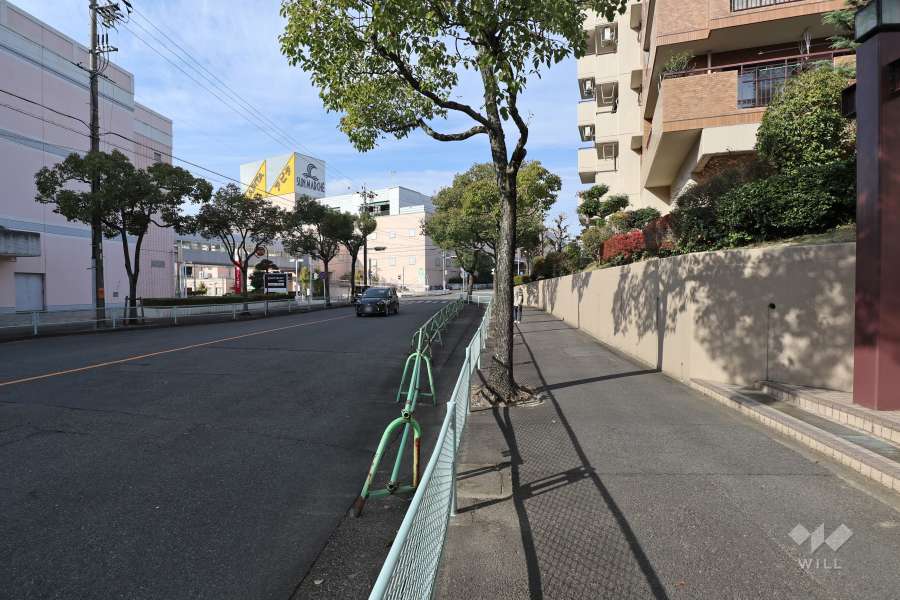 敷地西側の前面道路（南側から）