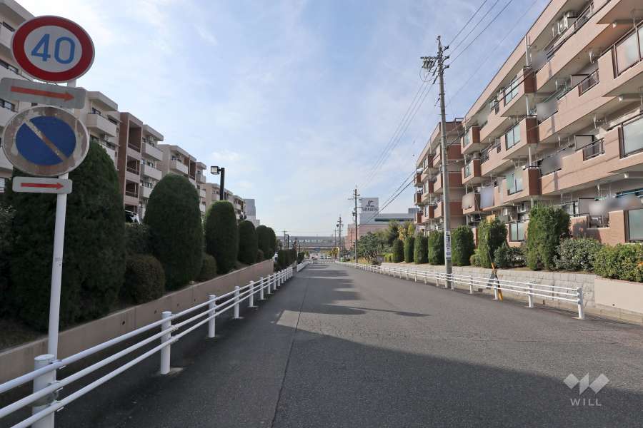 敷地北側の前面道路