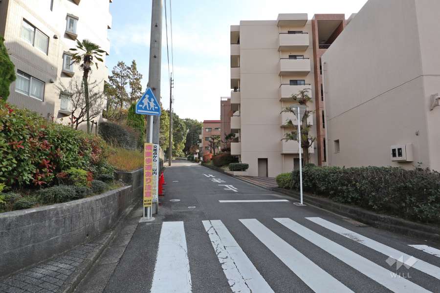 敷地東側の前面道路