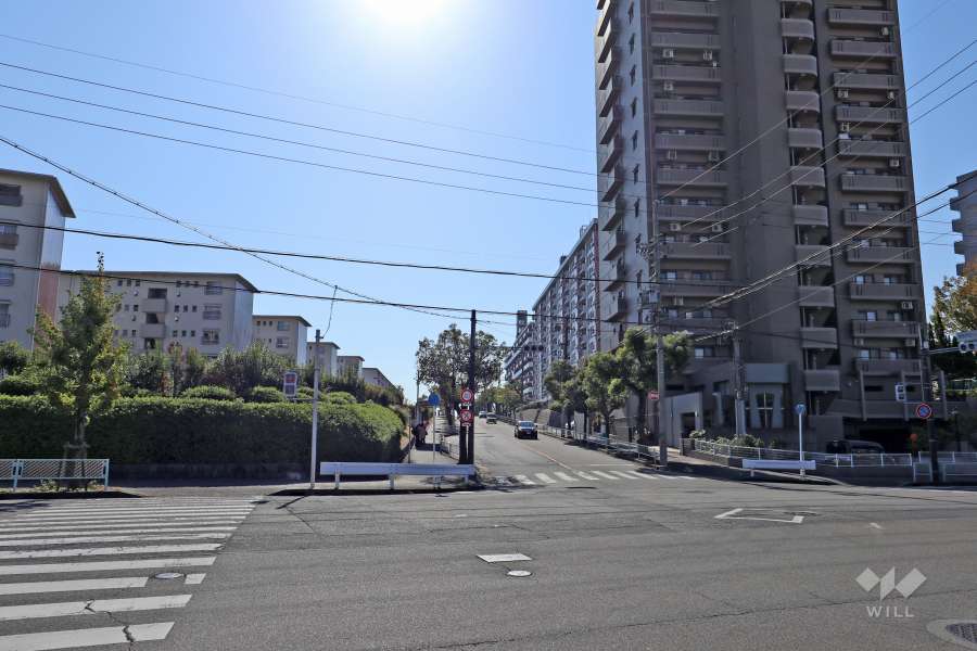 敷地東側の前面道路