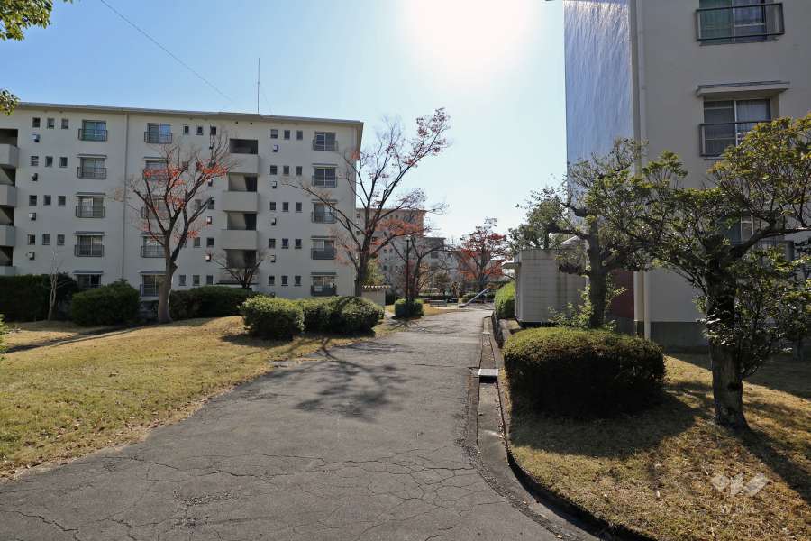敷地東側通路
