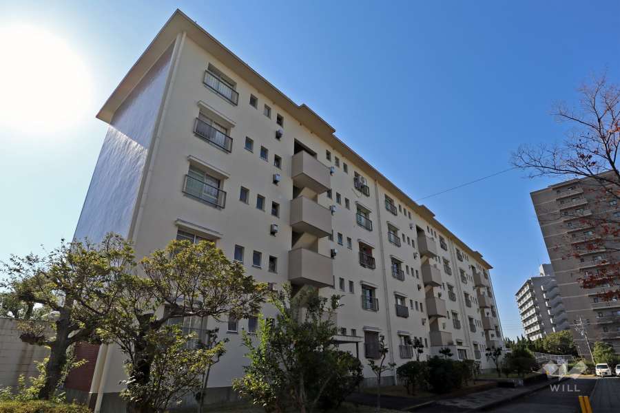 中央台団地222号棟の外観（北側から）