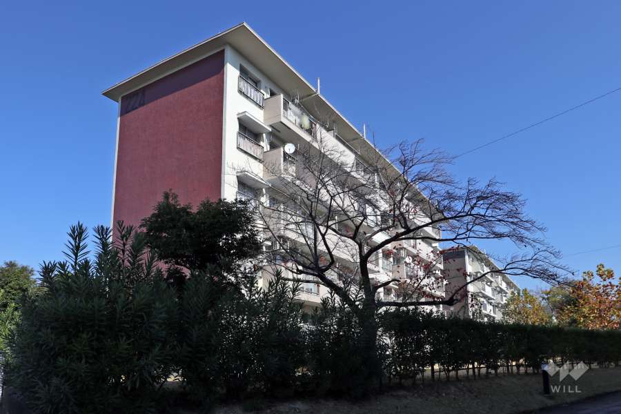 中央台団地224号棟の外観（南側から）