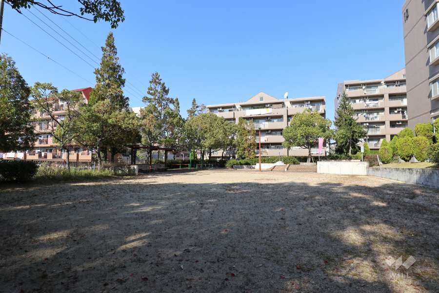 敷地内の広場