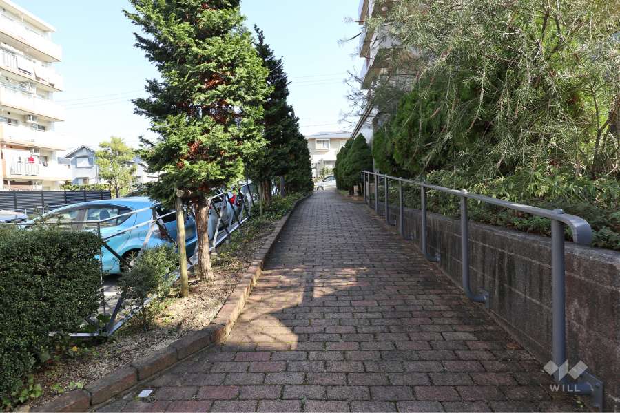 エントランス北側の通路（西側から）