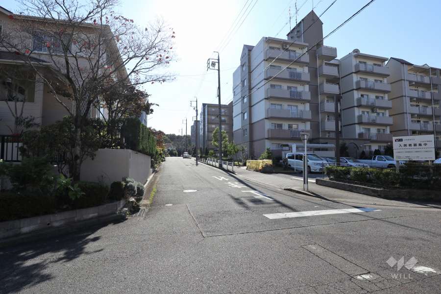 敷地東側の前面道路（北側から）