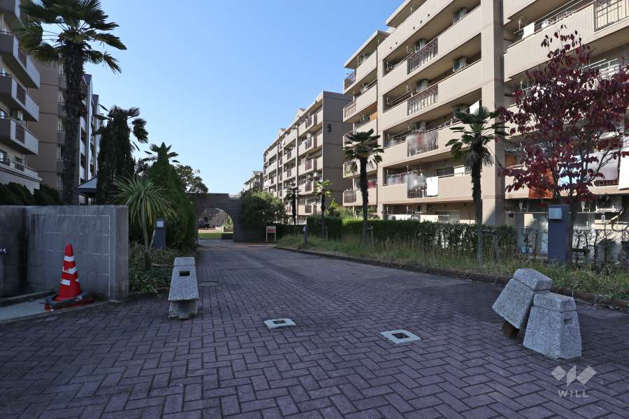 敷地入り口（東側）