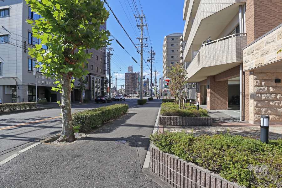 敷地南側の前面道路