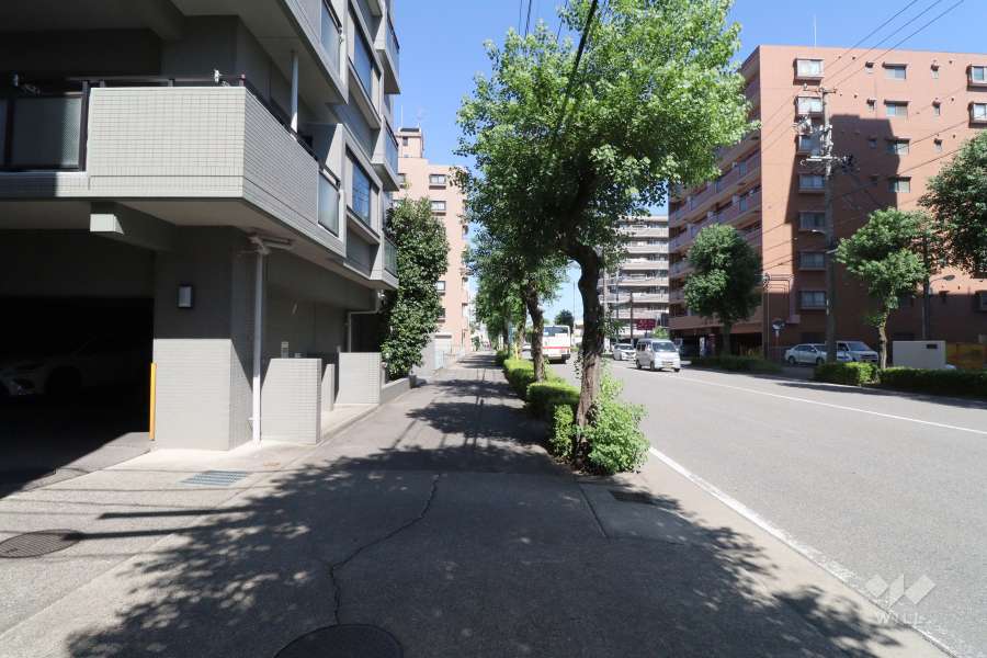 敷地東側の前面道路