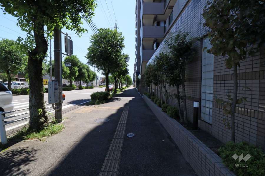 敷地東側の前面道路