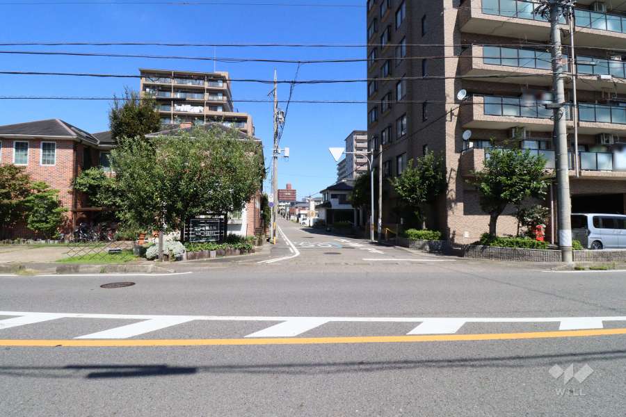 敷地西側の前面道路
