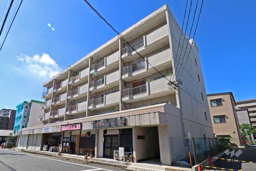中央通パレスハイツの外観（北東側から）