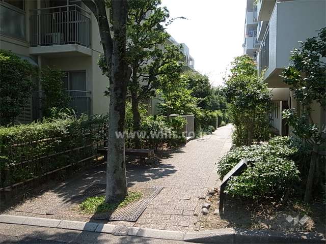 敷地北側は緑道に面しています。