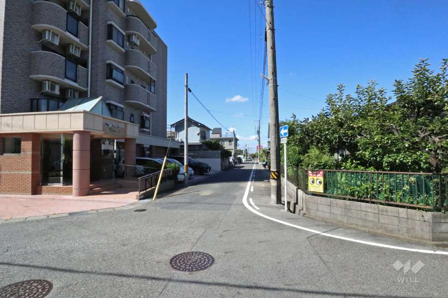 敷地北西側の前面道路（北東側から）