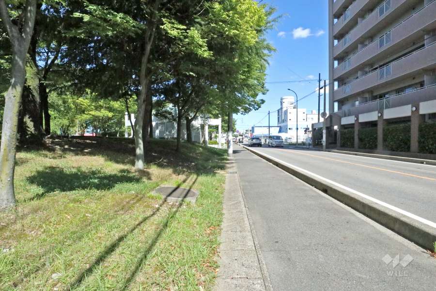 敷地南西側の前面道路