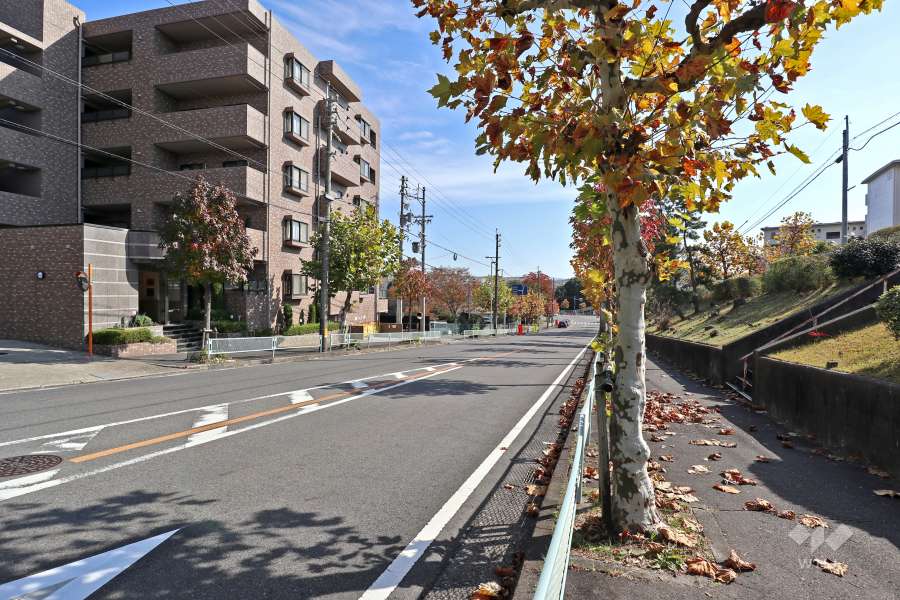 敷地南側の前面道路