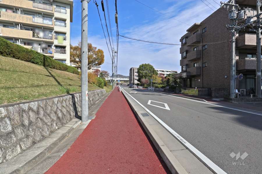 敷地西側の前面道路