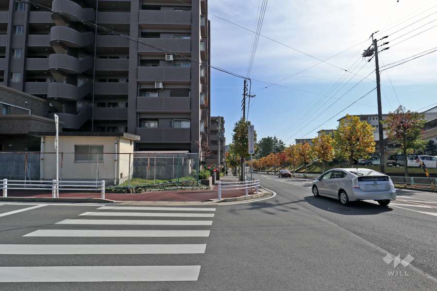 敷地南西側道路を南側に進むと『水辺公園』があります。