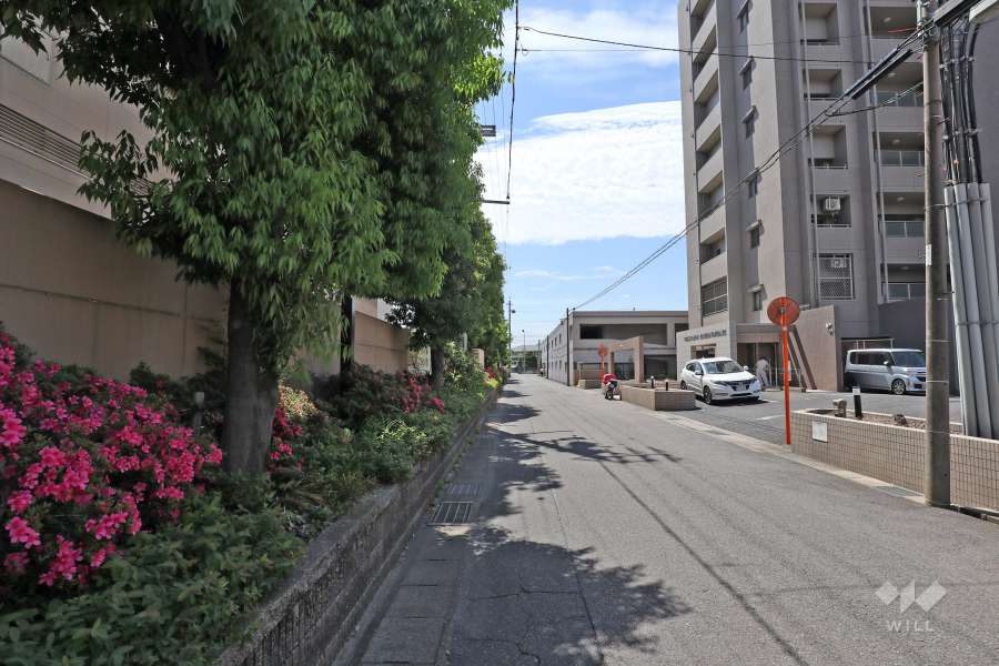 敷地北東側の前面道路