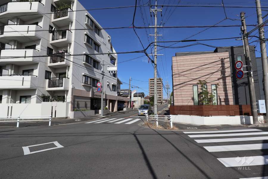 敷地東側の前面道路（南側から）