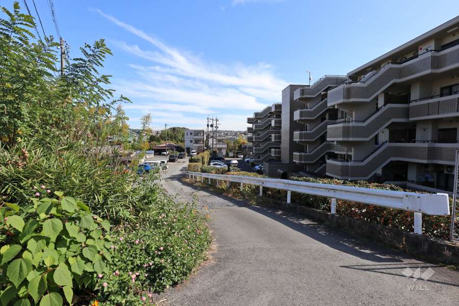 敷地北側の前面道路